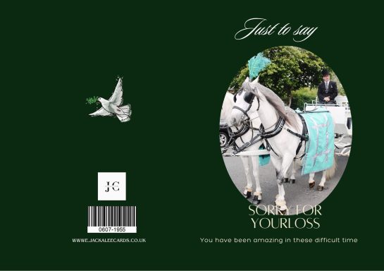 A horse draped in turquoise cloth, with a person nearby, against a dark green background.