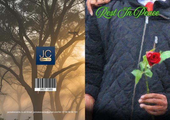 A hand holds a red rose against a blurred, tree-filled background.