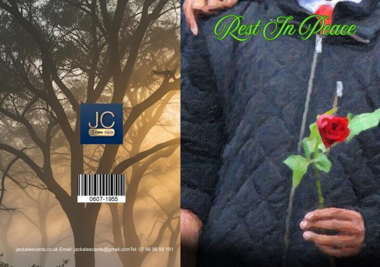 A person holding a rose stands against a misty forest background.