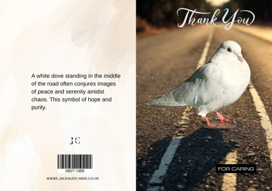 A white dove standing on a road, symbolising peace and purity.