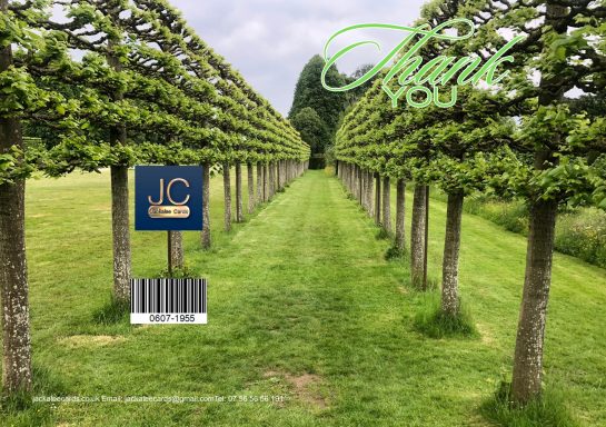 A neatly trimmed pathway bordered by trees leading to a sign with the initials "LC."