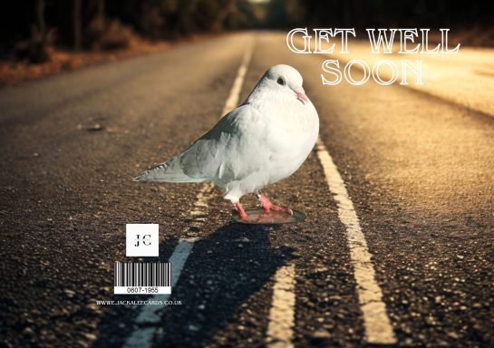 A pigeon stands on a road with "GET WELL SOON" text above it.