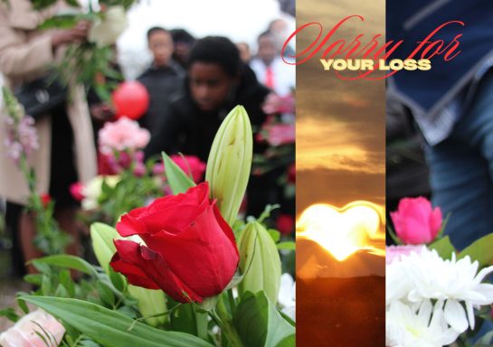 JC 0038 Roses and lilies at a memorial, with a sunset and text reading "Sorry for Your Loss."